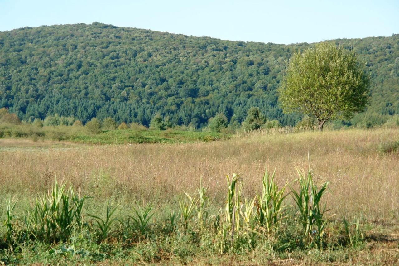 Peace Valley - Dolina Mira Janja Gora Extérieur photo